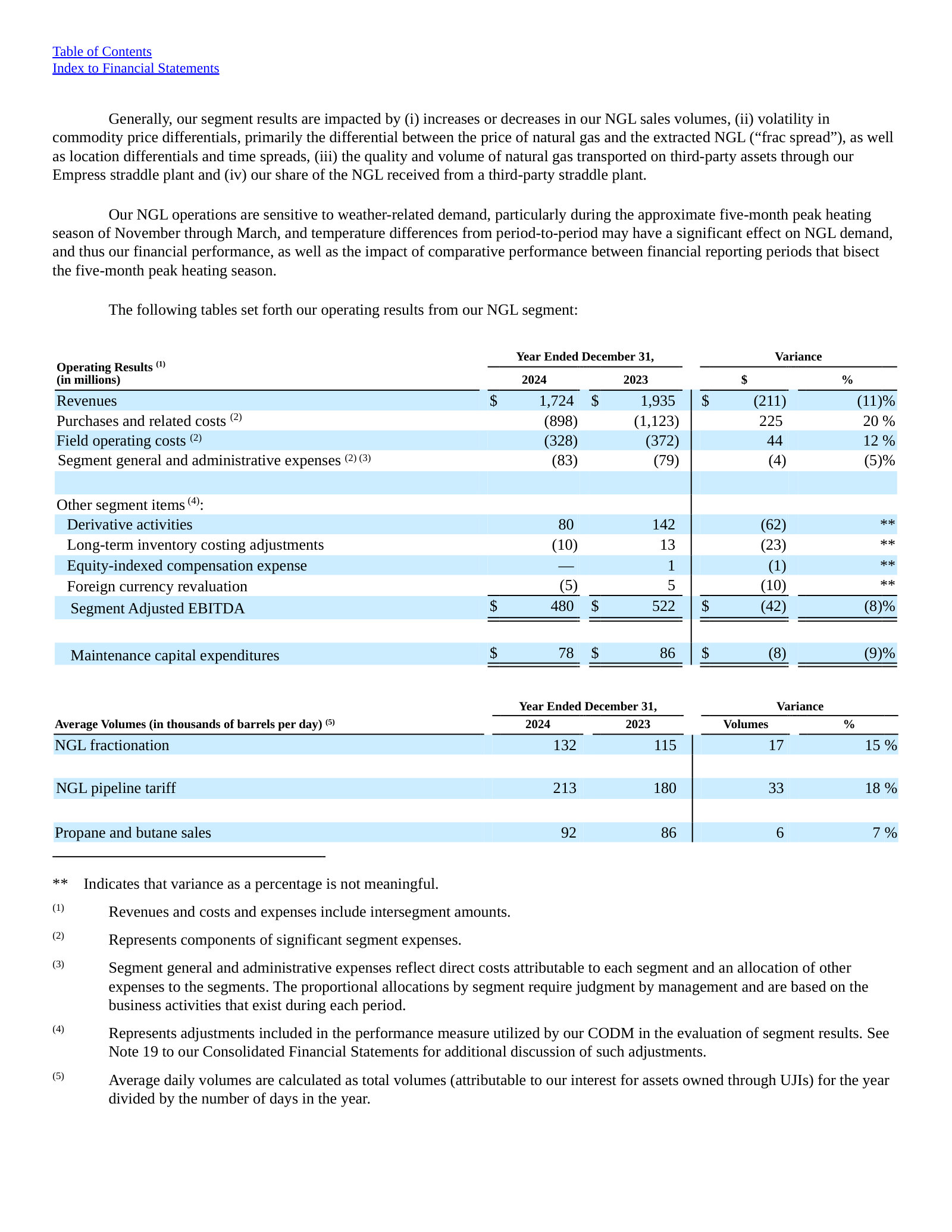 FY2024 NGL segment results — $1,724m revenue, $480m Segment Adjusted EBITDA — against $151m and $(34)m in FY2025.